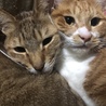 チャチャの事が大好きでべったり(^^)