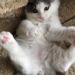 1回目ワクチン終了