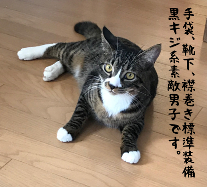 9ヶ月くらい　手袋男子　モックン サムネイル2