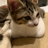 ラル