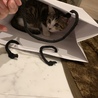 の写真