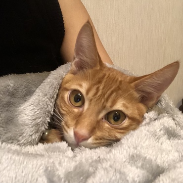 の写真