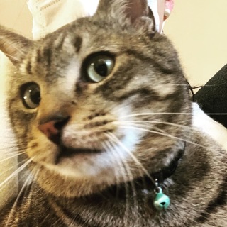 かっこいいお顔に可愛い声ゴロスリが止まらない男の子