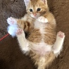 だっこかな？