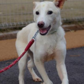 ◆ここから出して◆ススキ君 元中-D595