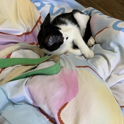 楓くんと生活して