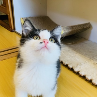 人が大好き過ぎて♡