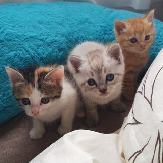 とーっても可愛い3兄弟です！