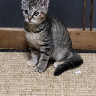 丸いお顔の計ちゃん