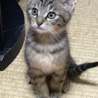 甘えん坊の量くん