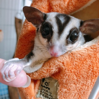 多数のご応募ありがとうございます。検討中です