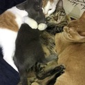 一日でも早くお願いします！