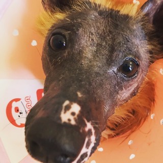 甘えん坊なマリツーちゃん