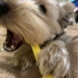 ワクチンは大事です。