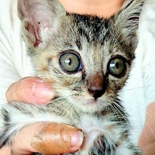 甘えん坊！赤ちゃんです！！