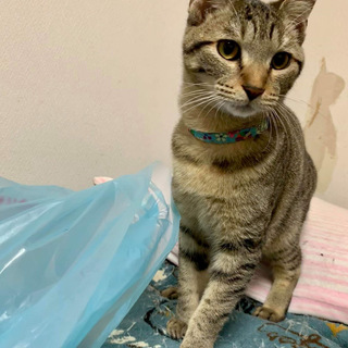ありがとうございました(⋆ᵕᴗᵕ⋆).+*ﾍﾟｺ