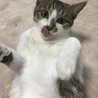の写真