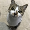 の写真