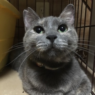 ありがとうございました