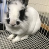 の写真