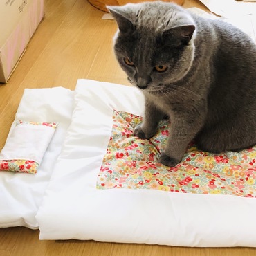 猫用布団でおやすみ〜