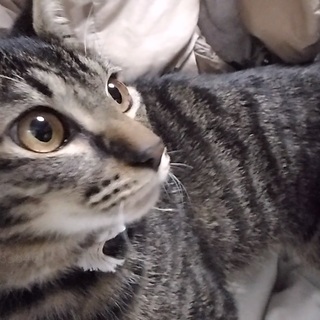 結婚しました！沢山のご応募ありがとうございました。