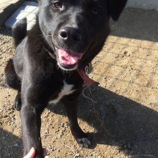 ラブミックスの元気なユキ君！