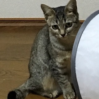しお 　　7〜8ヶ月の女の子