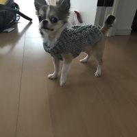 ロイ