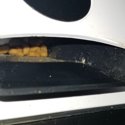 「カリカリマシーンの不具合」サムネイル2