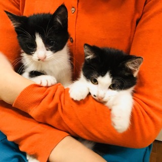 姉妹じゃないのにそっくり♪