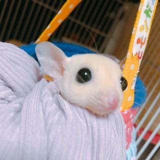 多数のご応募ありがとうございます。検討中です