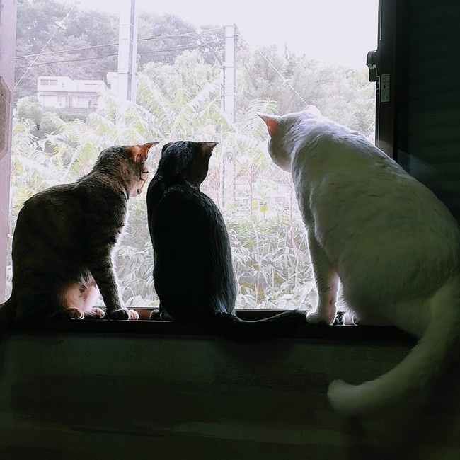 mazeru子さんのカバー写真