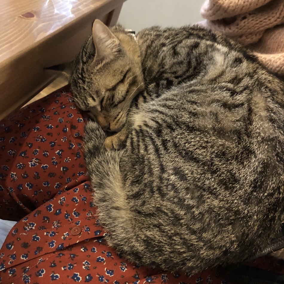 むぎのカバー写真
