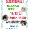 【12/22浅草橋】甘えん坊過ぎる甘えん坊♡楓 サムネイル7