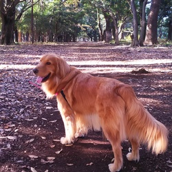 今年も残りわずか