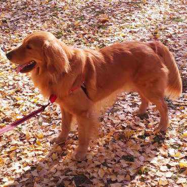 光が丘公園にて