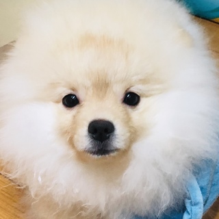 幸せになりました！ありがとうございました。