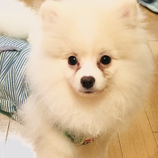 幸せになりました。ありがとうございました。