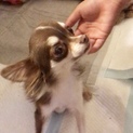 幸せ探し