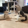の写真