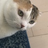 の写真