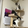 の写真