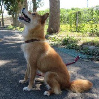 子供っぽい表情でお散歩ワクワク待ち～