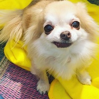 もなか