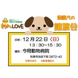 譲渡会 in 今岡動物病院