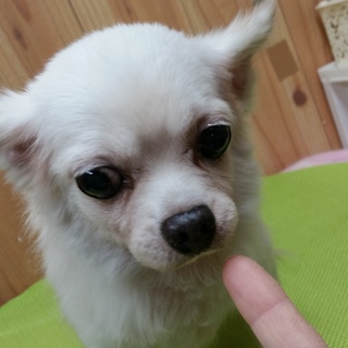 アンドレトライアルにつき募集停止中