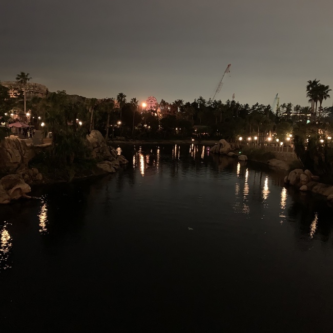 うさぎの家のカバー写真