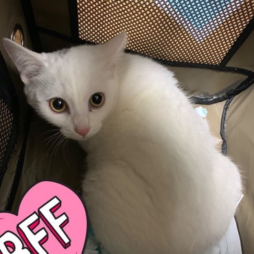 初めまして！