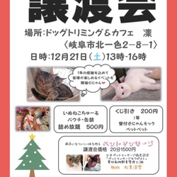 にゃんにゃん譲渡会&クリスマス会